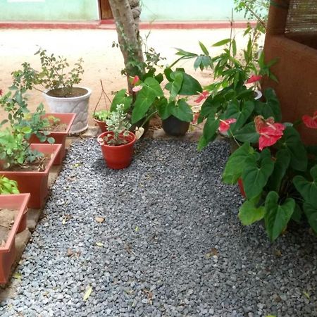 Pawansa Home Stay 하바라나 외부 사진
