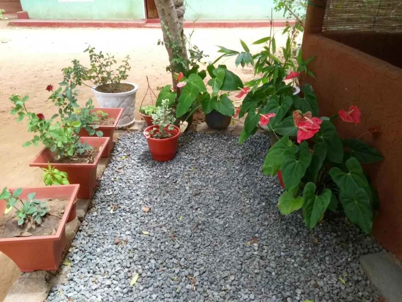 Pawansa Home Stay 하바라나 외부 사진